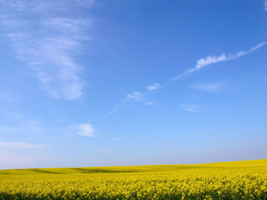 47158 (a): :1600x1200